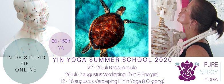 2020 Yin Yoga summer schools banner facebook